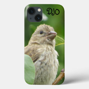 Funda Para iPhone 13 House Finch Bird Personalizada