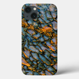 Funda Para iPhone 13 Hueso de dinosaurio Petrificado