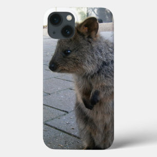Funda Para iPhone 13 "Huggs en Australia: Un Cuerdo Quokka Gris