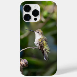Funda Para iPhone 14 Pro Max De Case-Mate Hummingbird