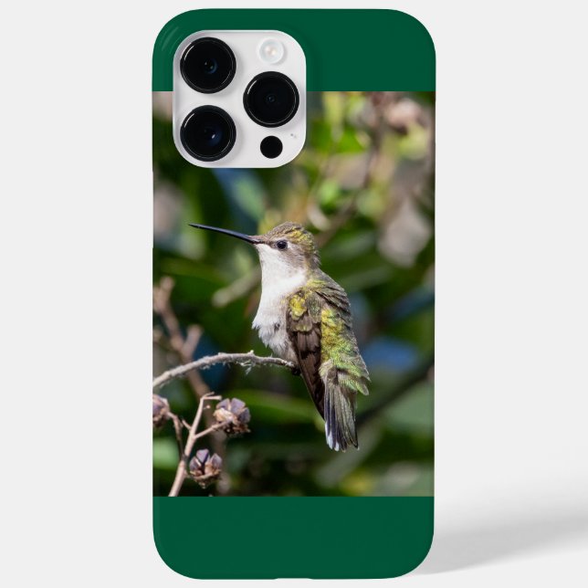 Funda De Case-Mate Para iPhone Hummingbird (Reverso)