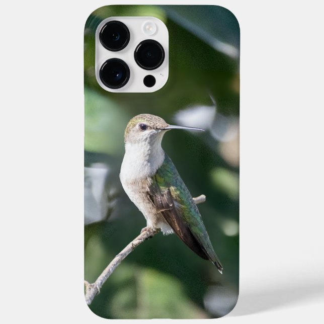 Funda De Case-Mate Para iPhone Hummingbird (Reverso)