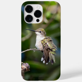 Funda Para iPhone 14 Pro Max De Case-Mate Hummingbird