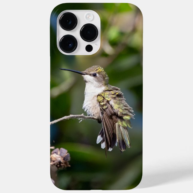 Funda De Case-Mate Para iPhone Hummingbird (Reverso)