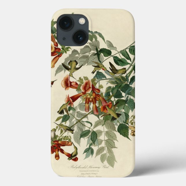 Funda De Case-Mate Para iPhone Hummingbird Ruby Throated Audubon (Reverso)