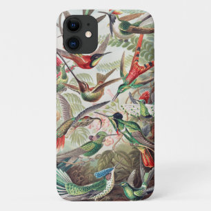Funda Para iPhone 11 Hummingbird, Trochilidae Kolibris por Ernst Haecke