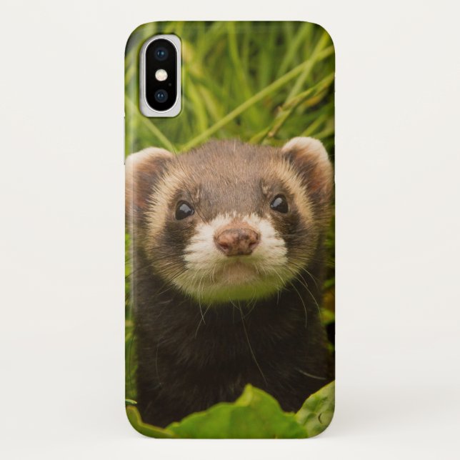 Funda De Case-Mate Para iPhone Hurón marrón lindo en la hierba (Reverso)