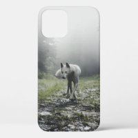 Husky Siberiano Blanco