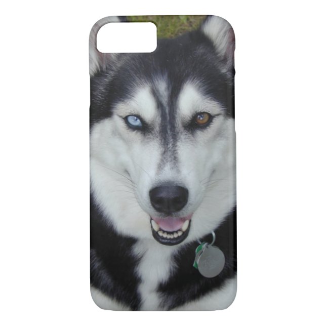 Funda De Case-Mate Para iPhone husky siberiano del caso del iPhone 7 (Reverso)