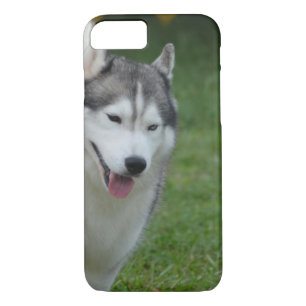 Funda Para iPhone 8/7 Husky siberiano lindo