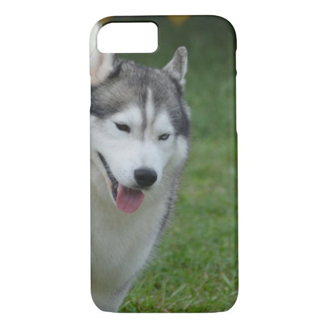 Funda De Case-Mate Para iPhone Husky siberiano lindo (Reverso)