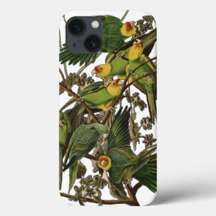 Funda Para iPhone 13 Ilustracion Audubon Carolina Parrot Bird