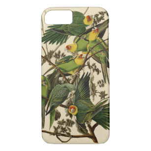Funda Para iPhone 8/7 Ilustracion Audubon Carolina Parrot Bird