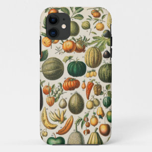 Funda Para iPhone 11 Ilustracion científico botánico de frutas