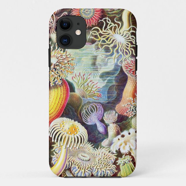 Funda De Case-Mate Para iPhone Ilustracion de anémonas marinas por Ernst Haeckel (Reverso)