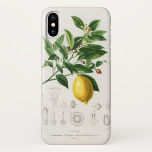 Funda Para iPhone X Ilustracion de limón cítrico frutal