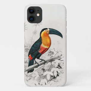 Funda Para iPhone 11 Ilustración de Ramphastos Tucán Arte Impreso Vinta