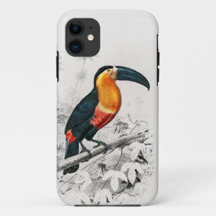 Funda Para iPhone 11 Ilustración de Ramphastos Tucán Arte Impreso Vinta