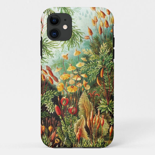 Funda De Case-Mate Para iPhone Ilustracion Muscinae por Ernst Haeckel (Reverso)