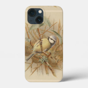 Funda Para iPhone 13 Mini Ilustracion vintage de Bluetit
