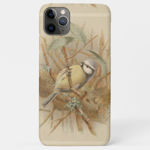 Funda Para iPhone 11 Pro Max Ilustracion vintage de Bluetit