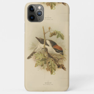 Funda Para iPhone 11 Pro Max Ilustracion vintage de Woodchat Shrike