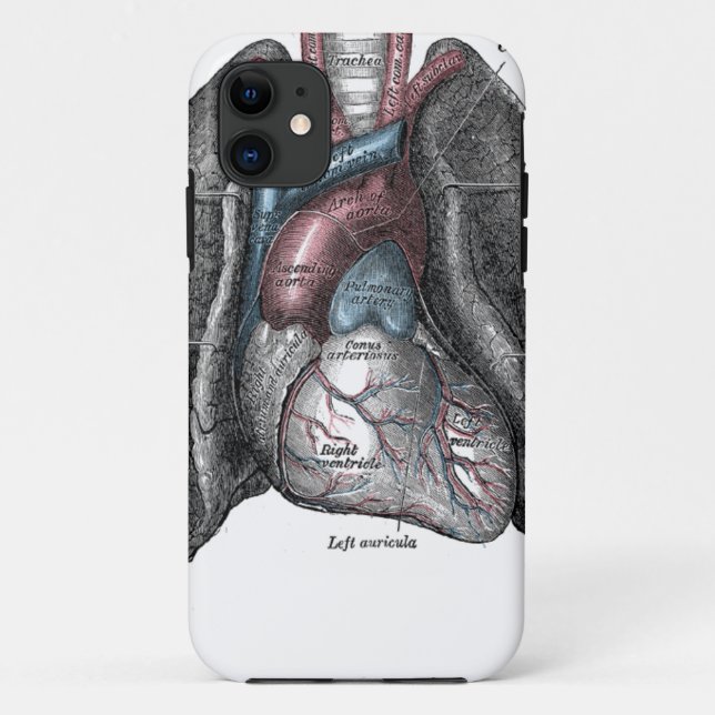 Funda De Case-Mate Para iPhone Ilustracion Vintage Gray Anatomy Heart Lungs (Reverso)