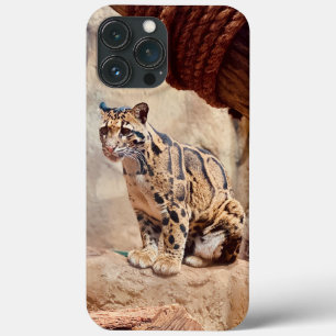 Funda Para iPhone 13 Pro Max imagen de leopardo nublado naturaleza vida salvaje