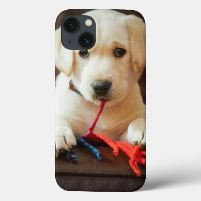 Funda De Case-Mate Para iPhone Imágenes de Getty | Cachorro En Un Sofá (Reverso)