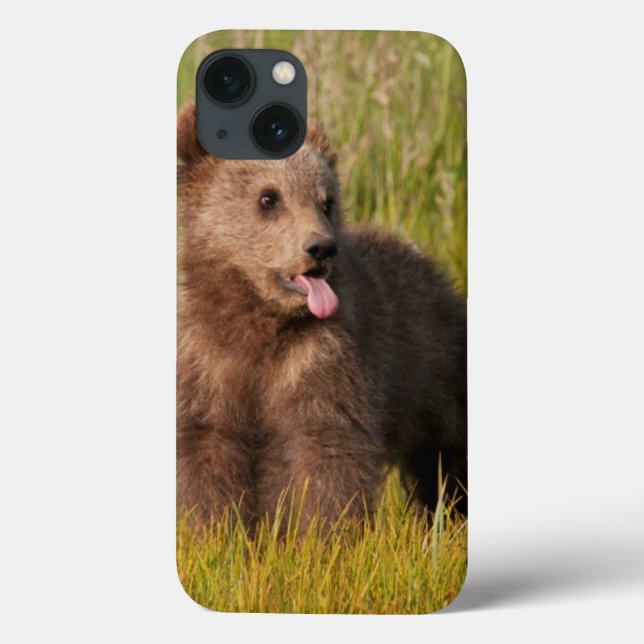 Funda De Case-Mate Para iPhone Imágenes de Getty | Oso bebé divertido (Reverso)