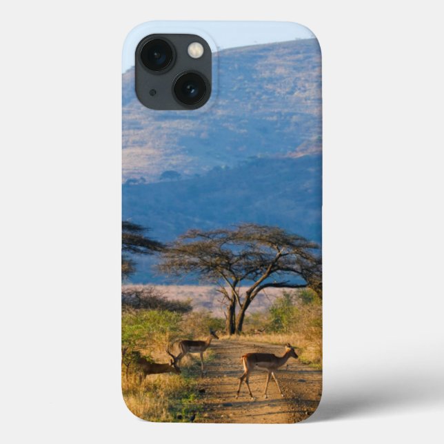 Funda De Case-Mate Para iPhone Impala (Aepyceros Melampus), Hluhluwe-Umfolozi (Reverso)