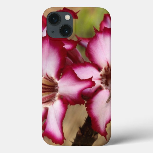 Funda De Case-Mate Para iPhone Impala Lily (Adenium Multiflorum), Kruger (Reverso)