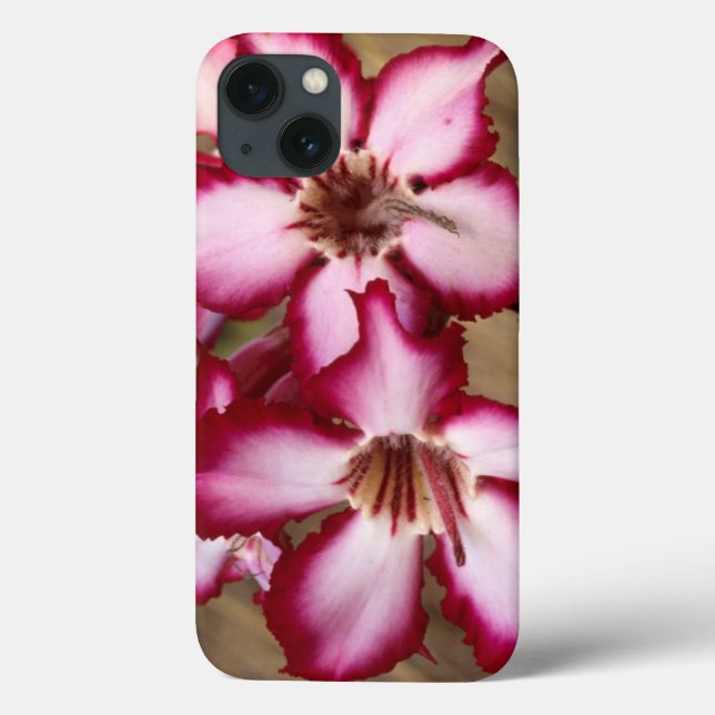 Funda De Case-Mate Para iPhone Impala Lily (Adenium Multiflorum), Kruger (Reverso)