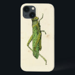 title_seo2 Impresión bordeada del pastor verde<br><div class="desc">Esta impresión de cal bordeada tiene un saltamontes verde sobre un fondo crema. Un original de Vision Studio,  esto sería un gran regalo para el insecto o amante de la naturaleza en su vida!</div>