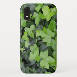 Funda Para iPhone XR Impresión botánica de marfil verde