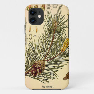 Funda Para iPhone 11 Impresión botánica del vintage del árbol de pino