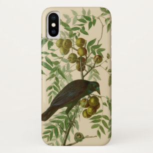 Funda Para iPhone X Impresión de pájaro Grackle púrpura de Audubon Vin
