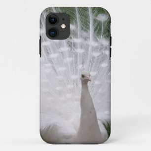 Funda Para iPhone 11 Impresionante penacho de pavo real blanco (Peafowl