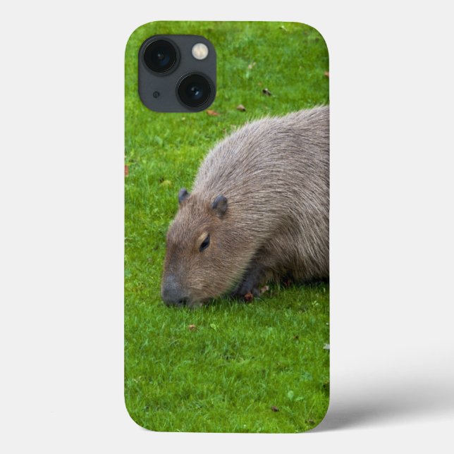 Funda De Case-Mate Para iPhone Increíble Animal Carpincho (Reverso)