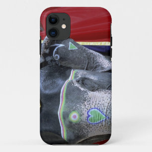 title_seo2 India, Rajastán, Jaipur. Amber Fort.