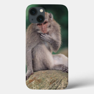 Funda Para iPhone 13 Indonesia, Bali, Ubud, Long-tailed Macaque