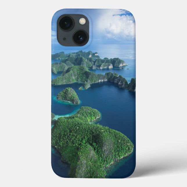 Funda De Case-Mate Para iPhone Indonesia, Papúa Occidental. Aerolíneas De Raja Am (Reverso)
