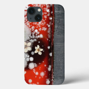 Funda Para iPhone 13 Inmortalidad 2