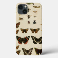 Insectos de jardín por Vision Studio