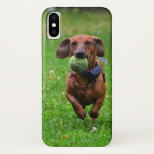 Funda Para iPhone X Inserte su propia foto de su Dachshund liso