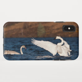 Funda Para iPhone XS Max Intercambio de Flapping