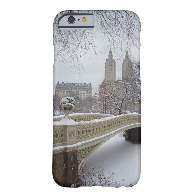 Funda De Case-Mate Para iPhone Invierno - Central Park - New York City (Reverso)