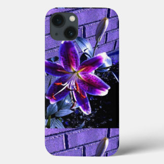 Funda Para iPhone 13 iphone