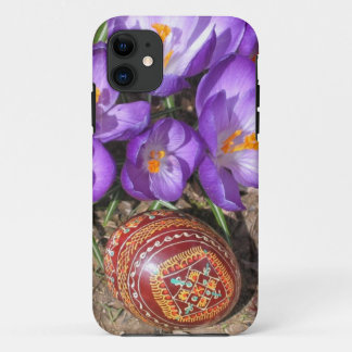 Funda Para iPhone 11 iPhone 5/5S, caso de Pascua de Barely There