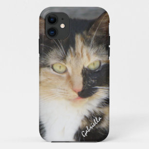title_seo2 iPhone 5: Caja personalizada del gatito del calic
